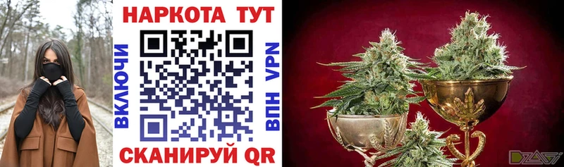 APVP Тайшет