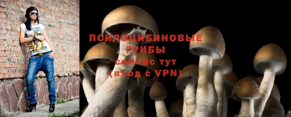 круглые Краснослободск