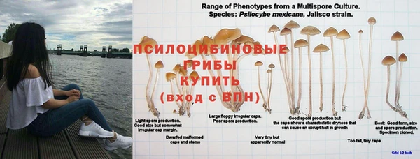 jwh Красноперекопск