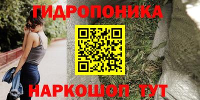 прущие крисы Ирбит