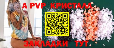 кокс Кингисепп