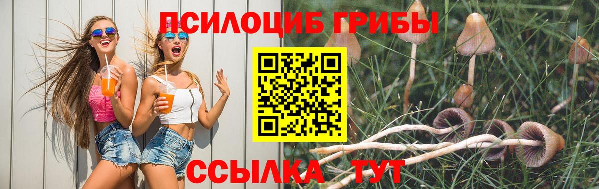 Псилоцибиновые грибы MAGIC MUSHROOMS Тайшет
