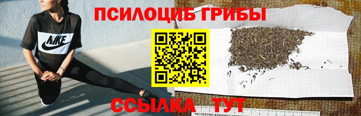 Псилоцибиновые грибы MAGIC MUSHROOMS  Тайшет  Галлюциногенные грибы прущие грибы 