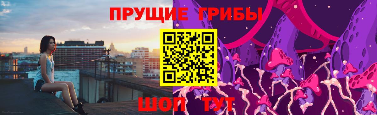Псилоцибиновые грибы Magic Shrooms  Вход с VPN  Тайшет 